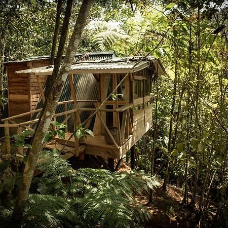 Cunae Ecolodge Σαν Φρανσίσκο ντε Μακορίς Εξωτερικό φωτογραφία
